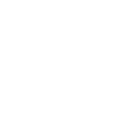 Bitsa